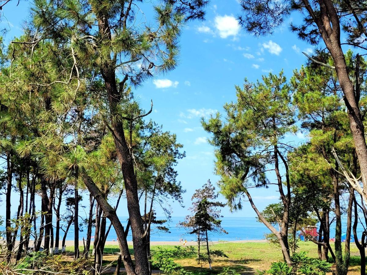 Beachfront Apartments ,,Kapro-One,, Ureki Buitenkant foto